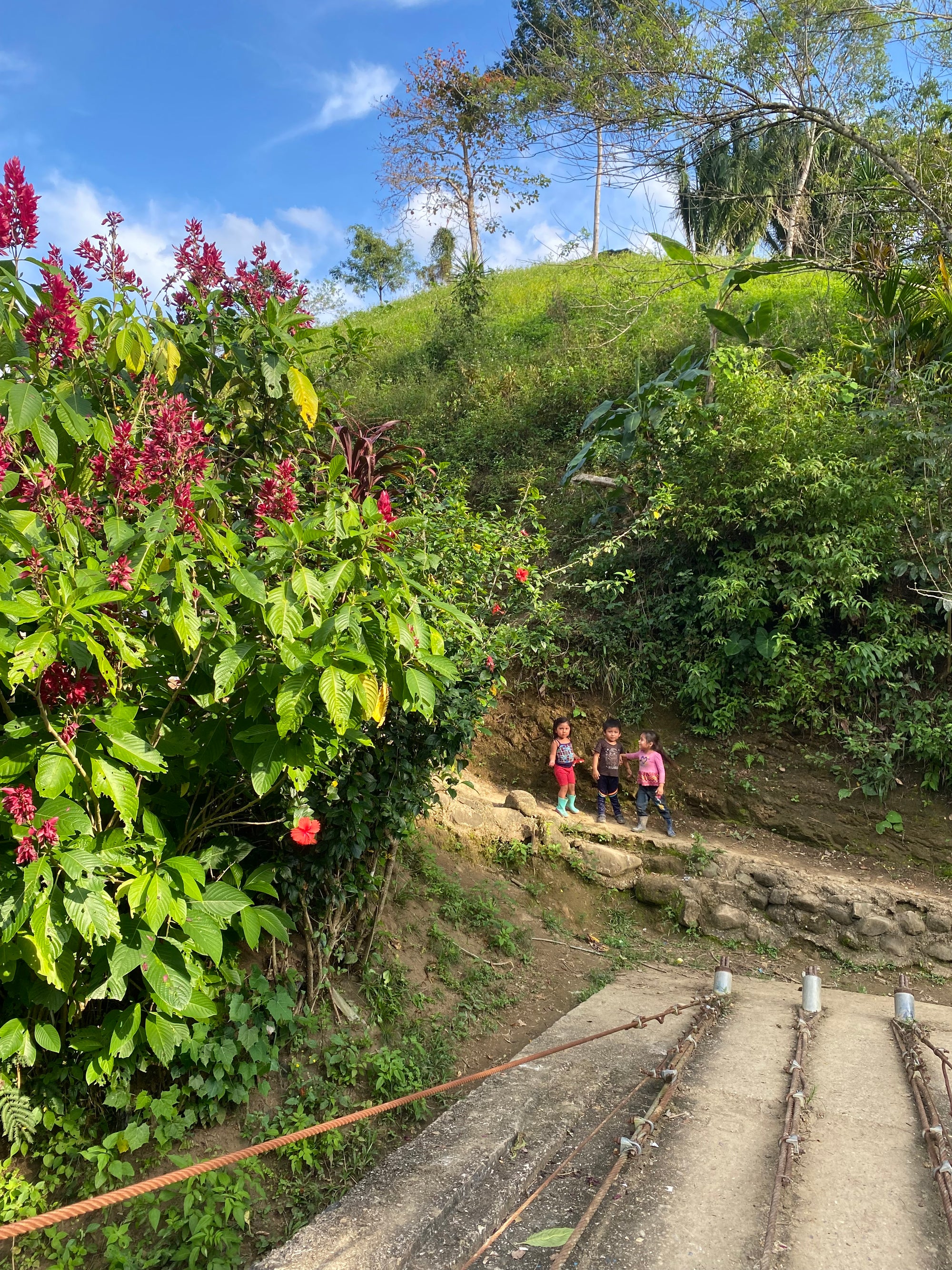 Safeguard the Biocultural Heritage of Cacao