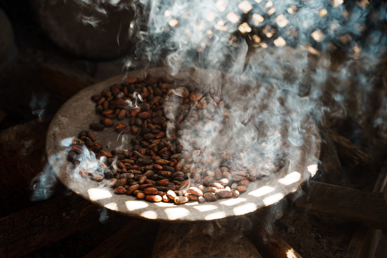 ROOTS & RITUALS: CACAO KINSHIP 2-MONTH PROGRAM