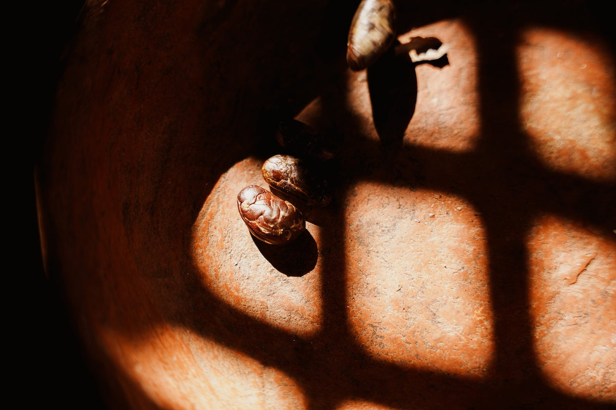 Ancestral Cacao
