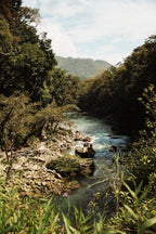 Sacred Roots Retreat