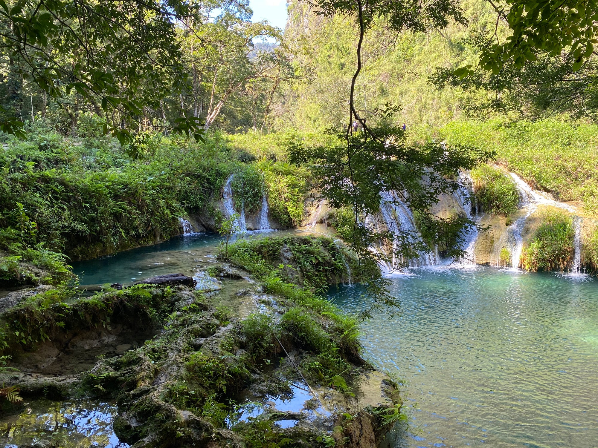 Safeguard the Biocultural Heritage of Cacao