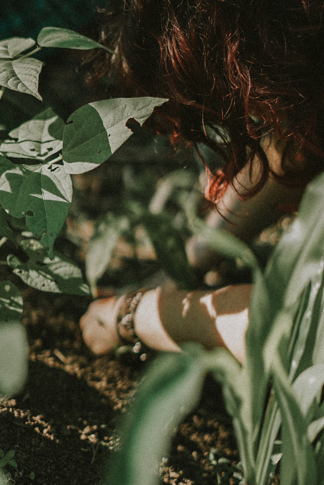 Safeguard the Biocultural Heritage of Cacao