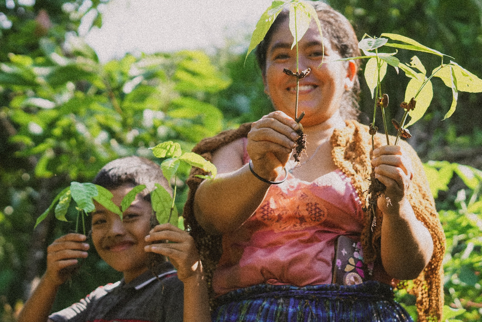 WORKSHOP: Ancestral Cacao Wisdom with Q’eqchi’ Maya Wisdom Keepers